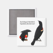 Red-Winged Blackbird Magnet (Vorderseite/Rückseite)