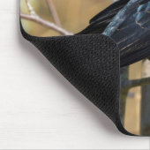 Red-Winged Blackbird Mousepad (Ecke)