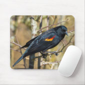 Red-Winged Blackbird Mousepad (Mit Mouse)