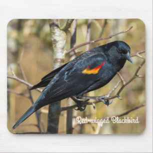 Red-Winged Blackbird Mousepad