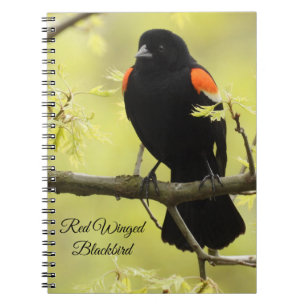 Red Winged Blackbird Notizblock