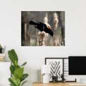 Red Winged Blackbird Poster (Heimbüro)
