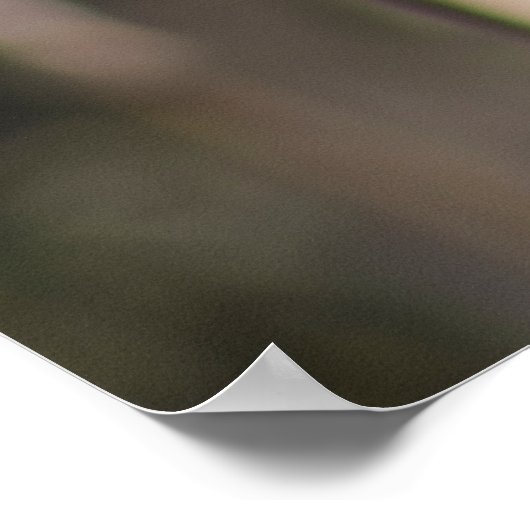 Red Winged Blackbird Poster (Ecke)