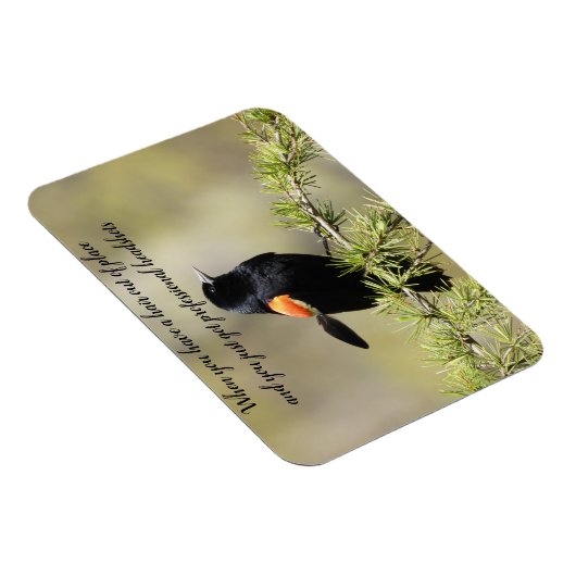 Red Winged BlackBird - Schlechter Friseur-Text Magnet (Rechte Seite)