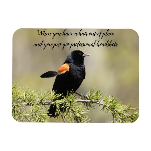 Red Winged BlackBird - Schlechter Friseur-Text Magnet (Horizontal)