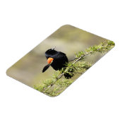 Red Winged BlackBird - Schlechter Haartag Magnet (Linke Seite)