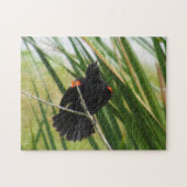 Red Winged Blackbird Singing - Bird Jigsaw Puzzle (Horizontal)