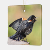 Red Winged Blackbird Singing Keramikornament (Links)