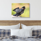 Red Winged Blackbird Singing Leinwanddruck (Insitu (Schlafzimmer))