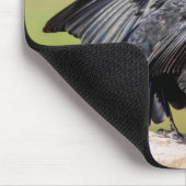 Red Winged Blackbird Singing Mousepad (Ecke)