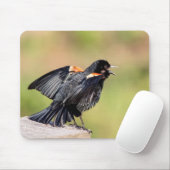 Red Winged Blackbird Singing Mousepad (Mit Mouse)