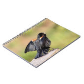 Red Winged Blackbird Singing Notizblock (Linke Seite)
