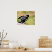 Red Winged Blackbird Singing Poster (Küche)