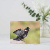 Red Winged Blackbird Singing Postkarte (Stehend Vorderseite)