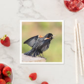 Red Winged Blackbird Singing Serviette (Beispiel)