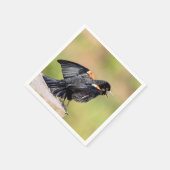 Red Winged Blackbird Singing Serviette (Ecke)