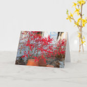 Red Winter Berries - Martha's Vineyard Karte (Gelbe Blume)