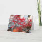 Red Winter Berries - Martha's Vineyard Karte (Vorderseite)