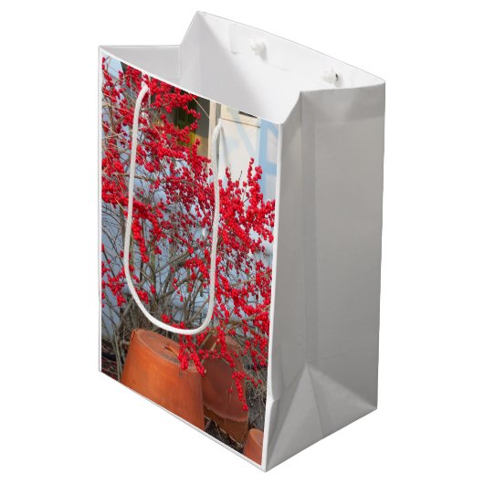 Red Winter Berries - Martha's Vineyard Mittlere Geschenktüte (Vorderseite Schrägansicht)