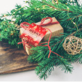 Red Winter Wonderland Frohe Weihnachten Geschenkanhänger