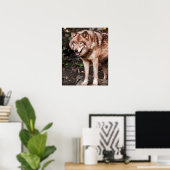 Red Wolf Cabin Style Modernes Foto Poster (Heimbüro)