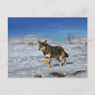 Red Wolf Februar 2011 Postkarte