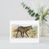 Red Wolf Postkarte (Stehend Vorderseite)