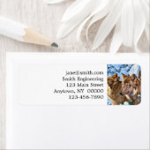 Red wolves painting (Insitu)