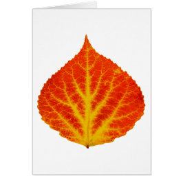 Red & Yellow Aspen Leaf #10