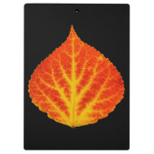 Red & Yellow Aspen Leaf #10 Klemmbrett (Rückseite)