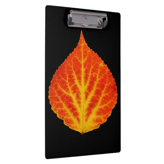 Red & Yellow Aspen Leaf #10 Klemmbrett (Rechts)