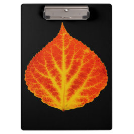 Red & Yellow Aspen Leaf #10 Klemmbrett