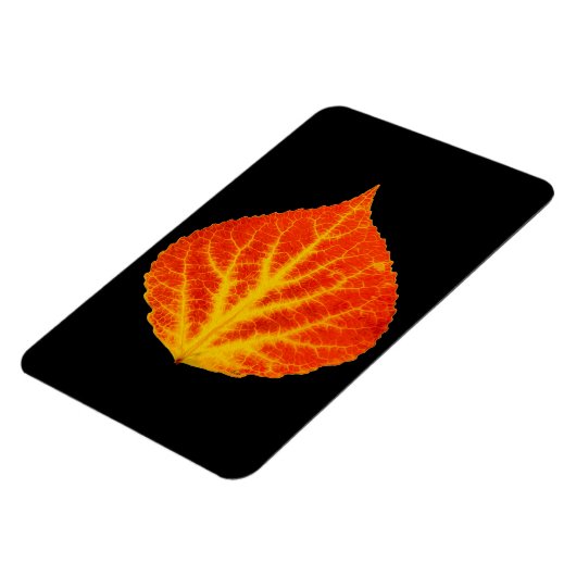 Red & Yellow Aspen Leaf #10 Magnet (Linke Seite)