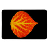 Red & Yellow Aspen Leaf #10 Magnet (Horizontal)