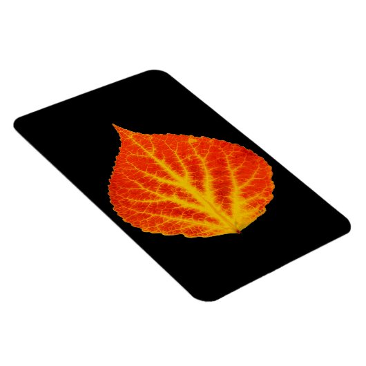 Red & Yellow Aspen Leaf #10 Magnet (Rechte Seite)