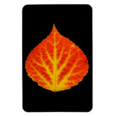 Red & Yellow Aspen Leaf #10 Magnet (Vertikal)