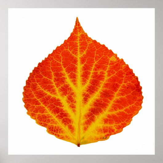 Red & Yellow Aspen Leaf #10 Poster (Vorne)