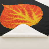 Red & Yellow Aspen Leaf #10 Sherpadecke (3/4)
