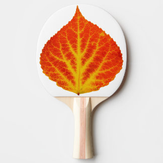 Red & Yellow Aspen Leaf #10 Tischtennis Schläger