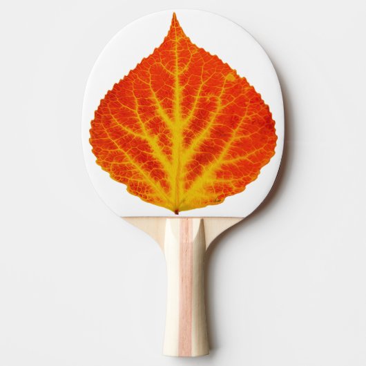 Red & Yellow Aspen Leaf #10 Tischtennis Schläger (Vorderseite)