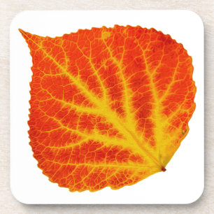 Red & Yellow Aspen Leaf #10 Untersetzer