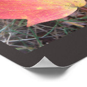 Red Yellow Autumn Leaaposter Poster (Ecke)