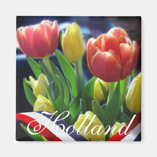 Red Yellow Dutch Tulips Holland Kühlschrankmagnet (Vorne)