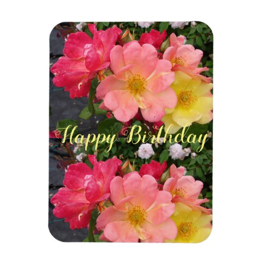 Red Yellow Rose Flower Floral Birthday Roses Magnet (Vertikal)