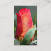 Red Yellow Rosenknospe Blumen Business Card Visitenkarte (Rückseite)