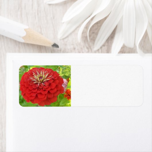 Red Zinnia-Adressetiketten (Insitu)