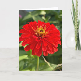 Red Zinnia Blank Note Card Dankeskarte