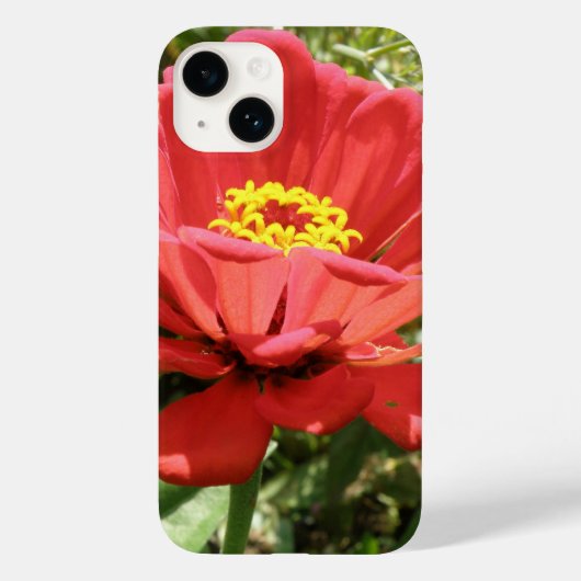 Red Zinnia iPhone 4 Fall Case-Mate iPhone Hülle (Rückseite)