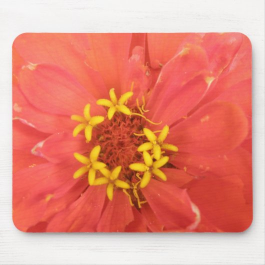 Red Zinnia Macro Mousepad (Vorne)