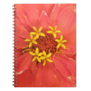 Red Zinnia Macro Notebook Notizblock